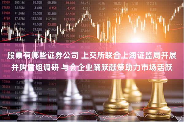 股票有哪些证券公司 上交所联合上海证监局开展并购重组调研 与会企业踊跃献策助力市场活跃