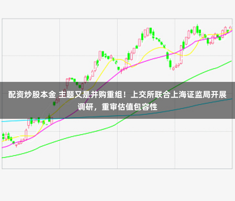 配资炒股本金 主题又是并购重组！上交所联合上海证监局开展调研，重审估值包容性