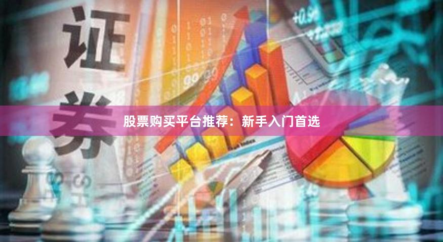 股票购买平台推荐：新手入门首选
