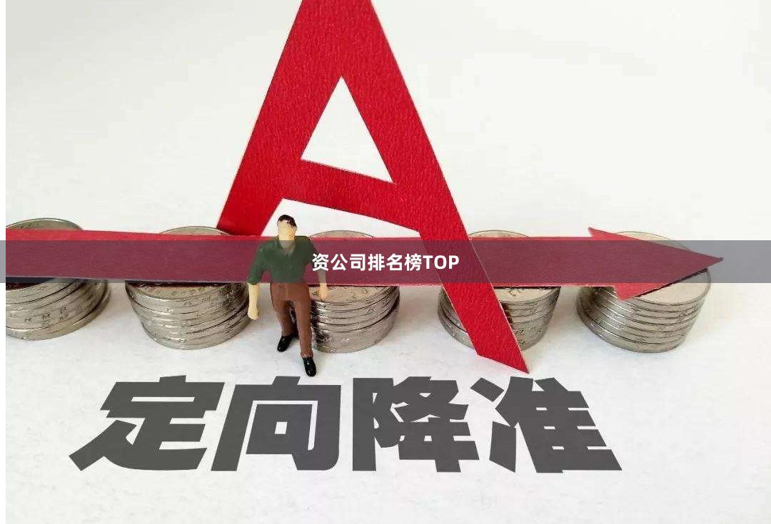 资公司排名榜TOP